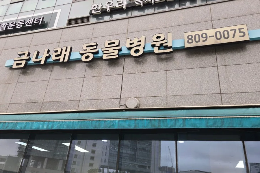 서울특별시 금천구 동물병원 내부철거 실제 사례 사진 · 협력 파트너 제공